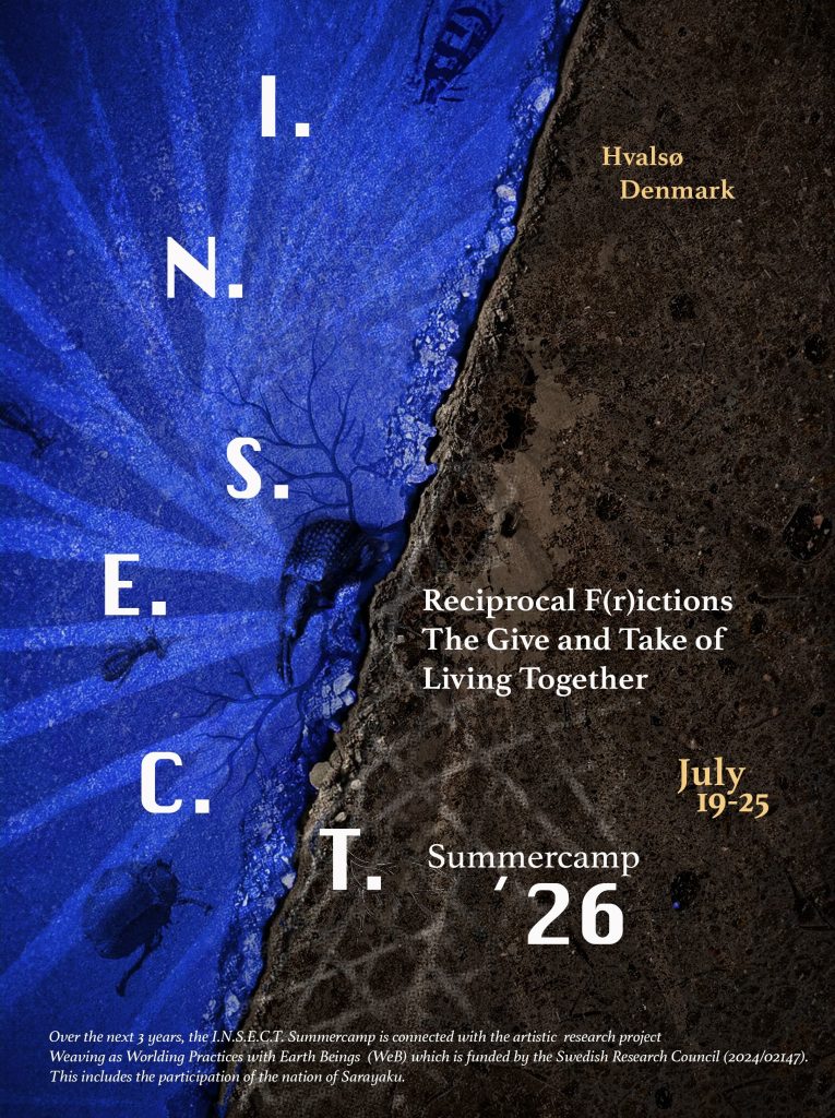 The Poster of the I.N.S.E.C.T. Summercamp showing a deep blue landscape on the left and a brown soil landscape covering the right side and building the background of the title and information.